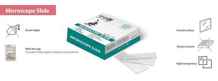 Microscope Slide